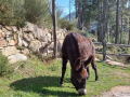 IMG-20220404-WA0055