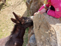 IMG-20220404-WA0061