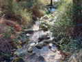 IMG-20220406-WA0032