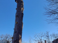 IMG-20220406-WA0122