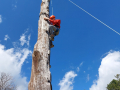 IMG-20220406-WA0135
