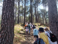 IMG-20220426-WA0123
