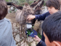 IMG-20220427-WA0027