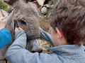 IMG-20220427-WA0029