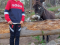 IMG-20220427-WA0031