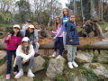 IMG-20220427-WA0042