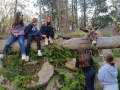 IMG-20220427-WA0043