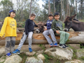IMG-20220427-WA0045