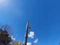 IMG-20220425-WA0152