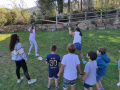 IMG-20220425-WA0159