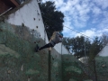 IMG-20190402-WA0018