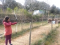 IMG-20190403-WA0029