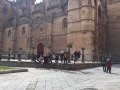 IMG-20190404-WA0016
