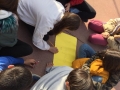 IMG-20190401-WA0053