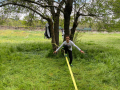IMG-20220504-WA0174