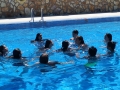 IMG-20190612-WA0099