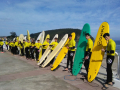 IMG-20220426-WA0024