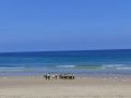 IMG-20220505-WA0339