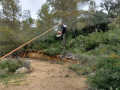 IMG-20220329-WA0043