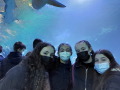 IMG-20220330-WA0037