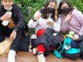 IMG-20220330-WA0053