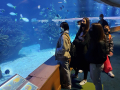 IMG-20220330-WA0095