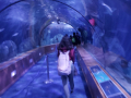 IMG-20220330-WA0096