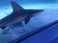IMG-20220330-WA0105