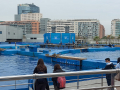 IMG-20220330-WA0108