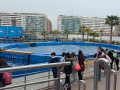 IMG-20220330-WA0109