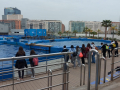 IMG-20220330-WA0110