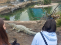 IMG-20220330-WA0111