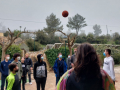IMG-20220328-WA0071