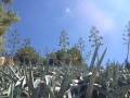 IMG-20170628-WA0023