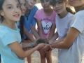 IMG-20190618-WA0042