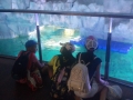 IMG-20190620-WA0061