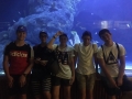IMG-20170621-WA0075