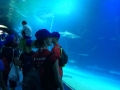 IMG-20170622-WA0093