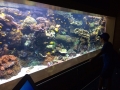 IMG-20170622-WA0095
