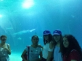 IMG-20170623-WA0088