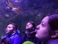 IMG-20180320-WA0097