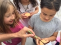 IMG-20190523-WA0139