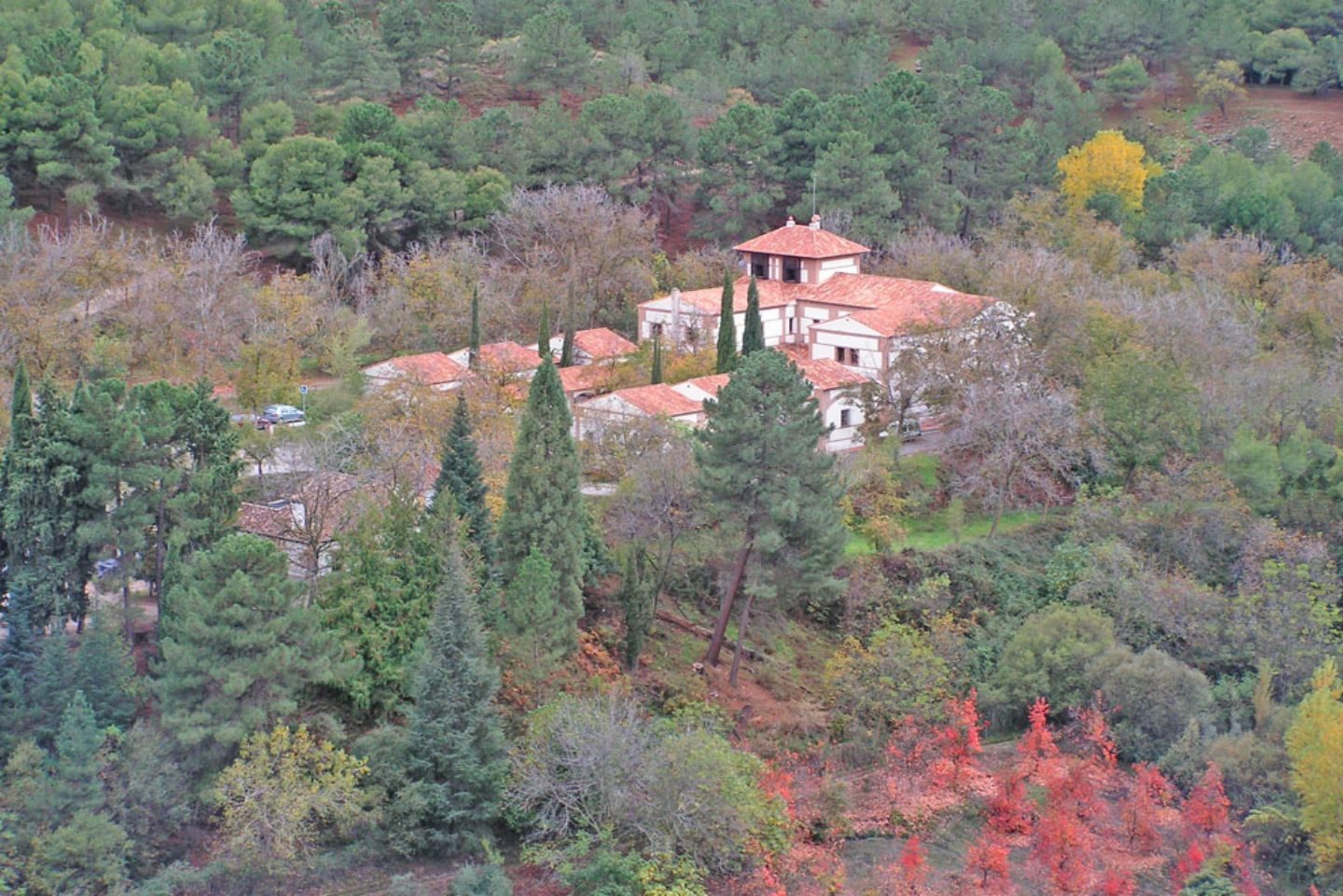 Vista aérea del albergue rodeado de bosque