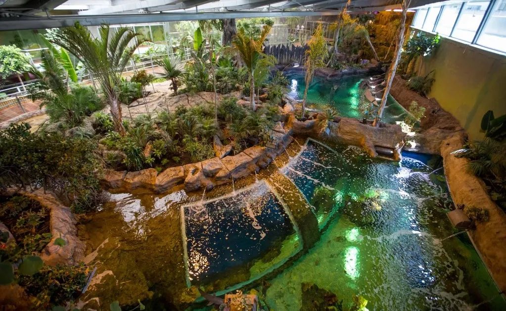 Interior del BioDomo con vegetación tropical y lámina de agua