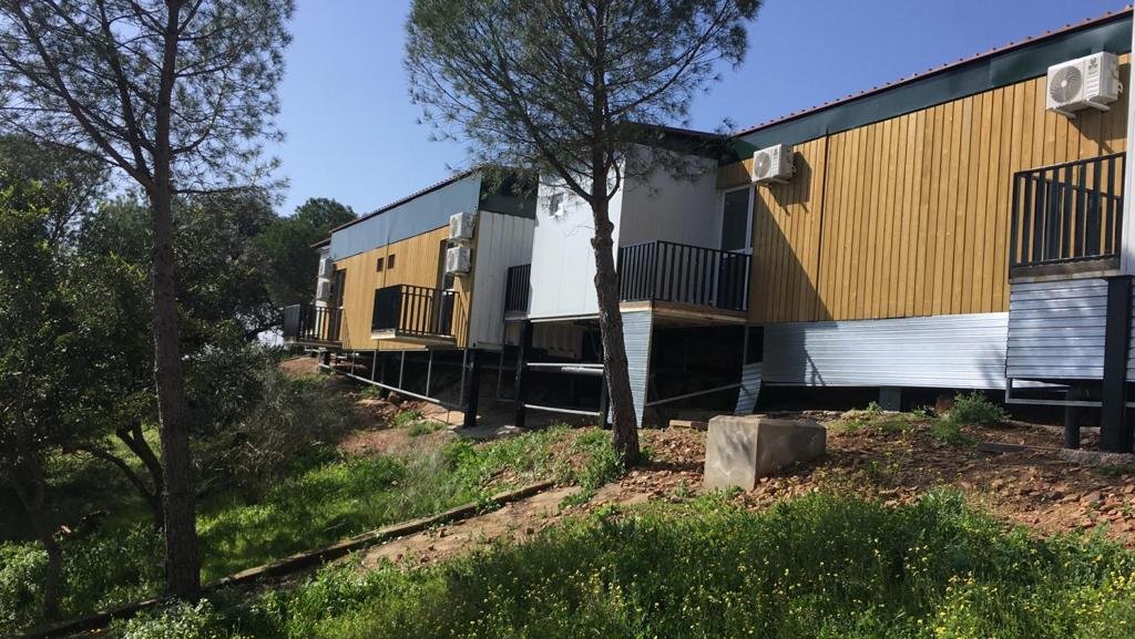 Bungalows de madera del alojamiento entre los pinos