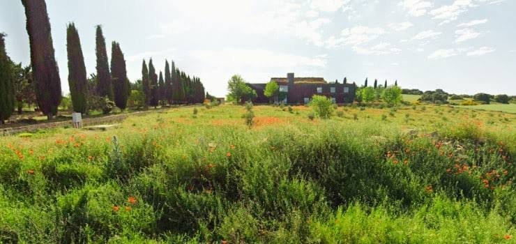 El edificio de Guadahortuna en medio del campo, con amapolas en primer plano