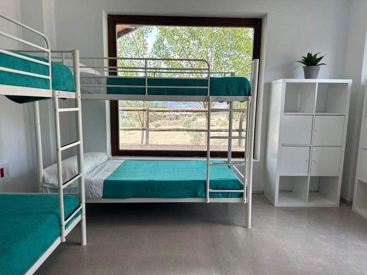 Habitación con literas y ventanal al campo
