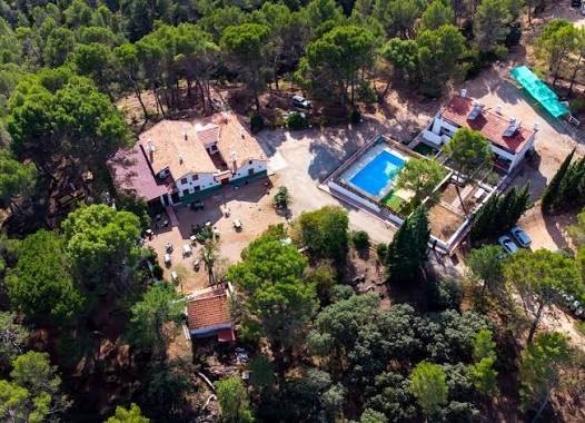 Vista aérea del conjunto con la piscina entre los pinos