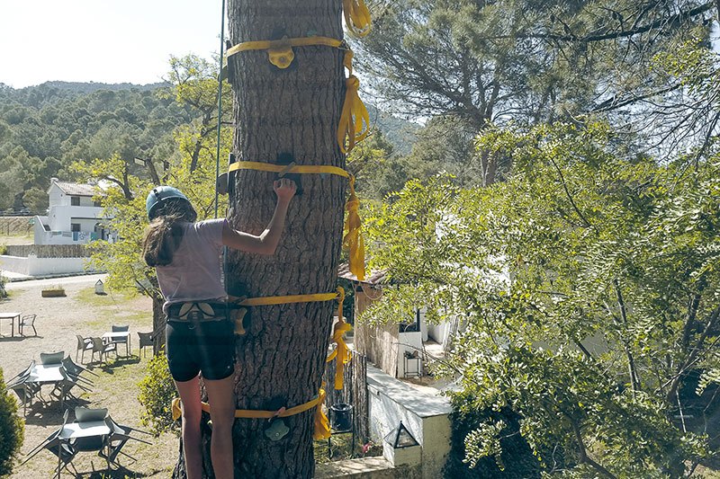 Estudiante escalando un árbol equipado con presas