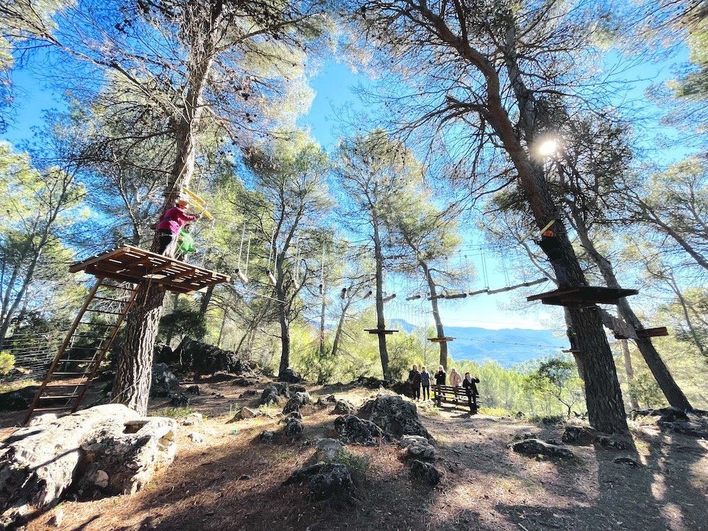 Circuito de multiaventura montado entre los pinos